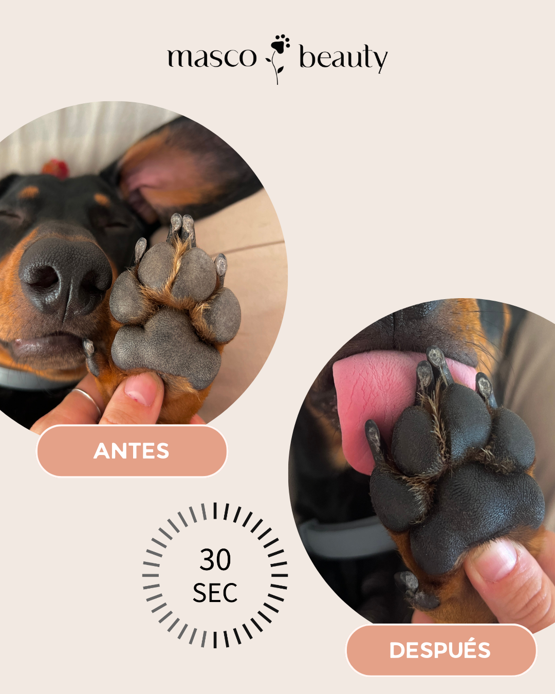 Natural cream for pads, muzzle and dry areas
