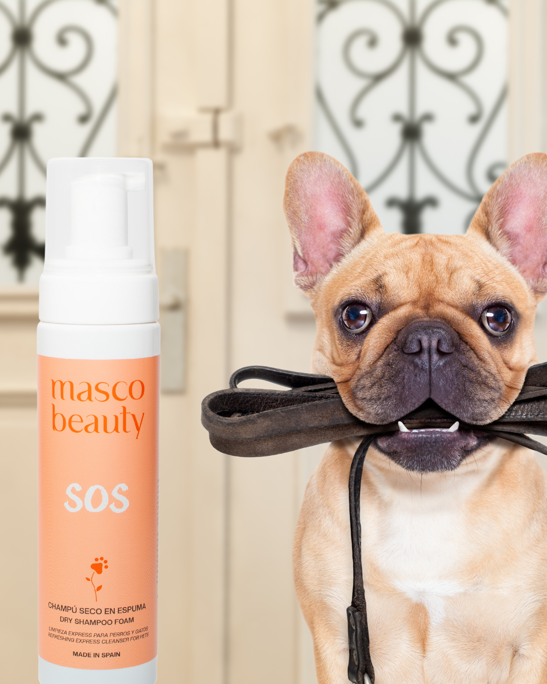 "SOS" dry foam shampoo