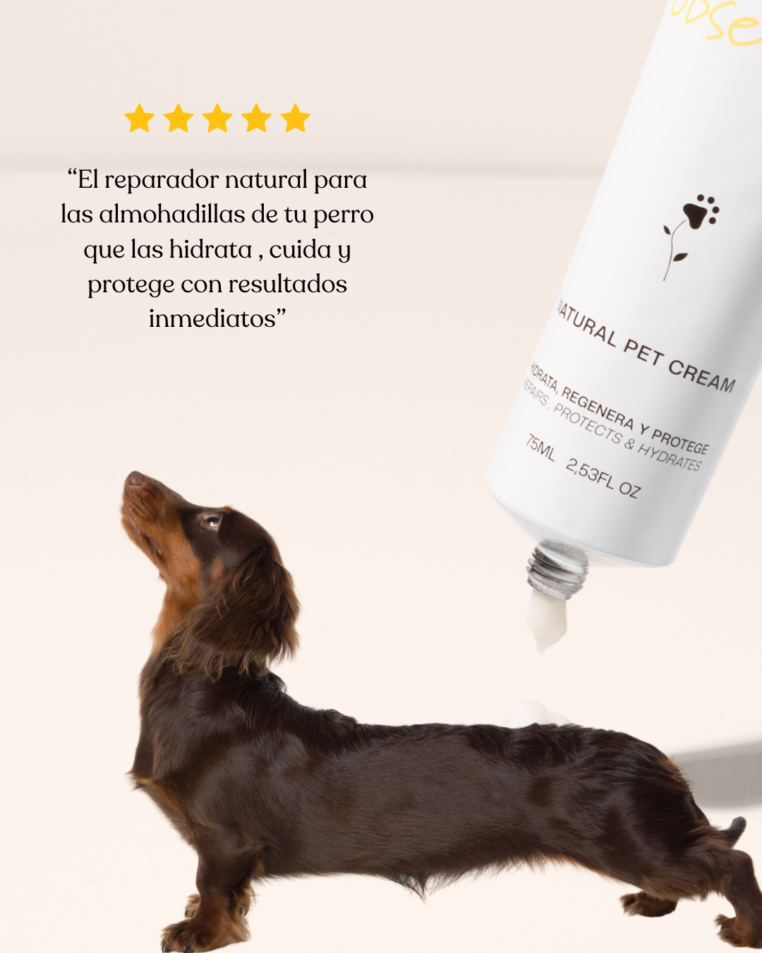 Natural cream for pads, muzzle and dry areas